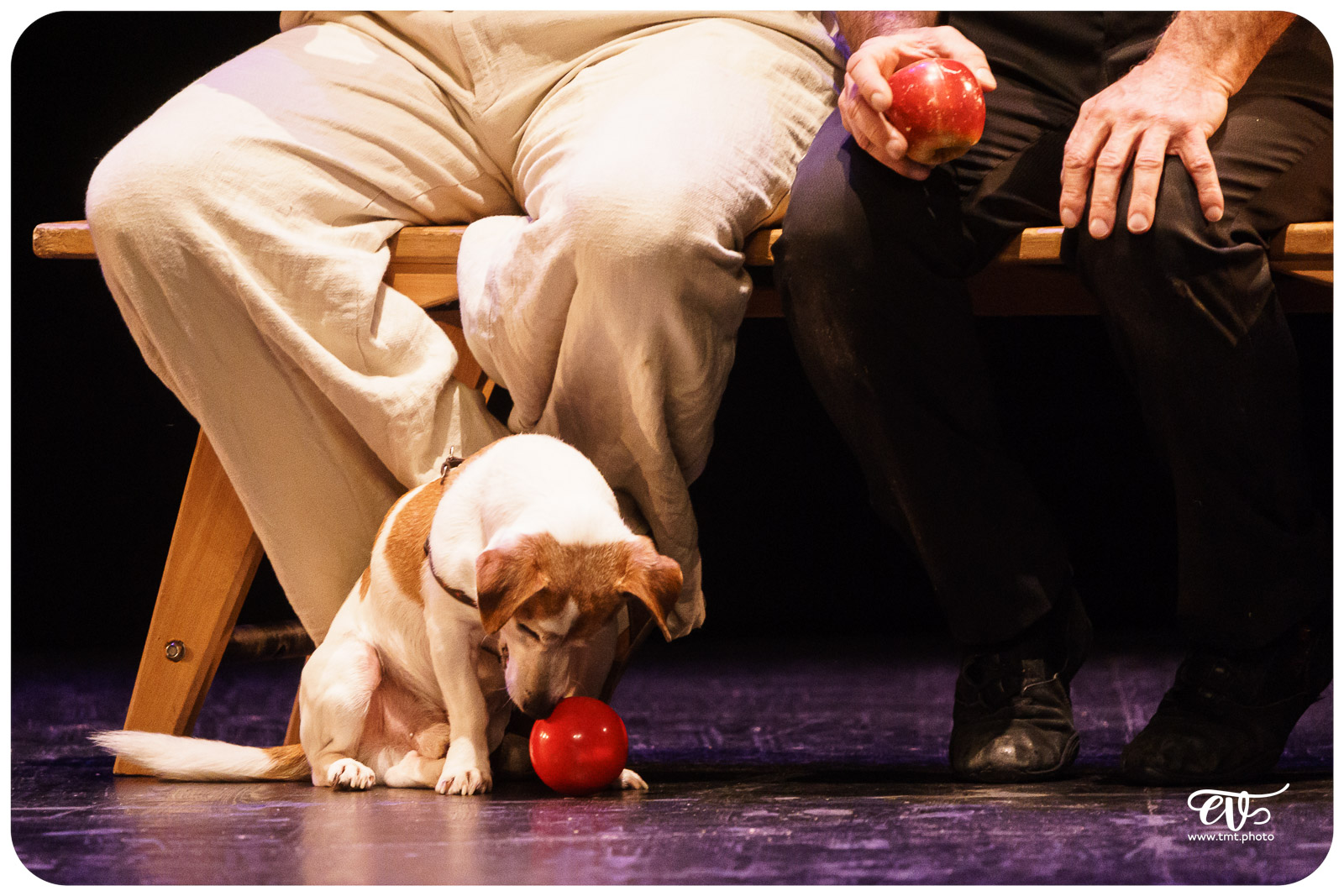 ExCENTRIQUES (CIE LES ACROSTICHES)